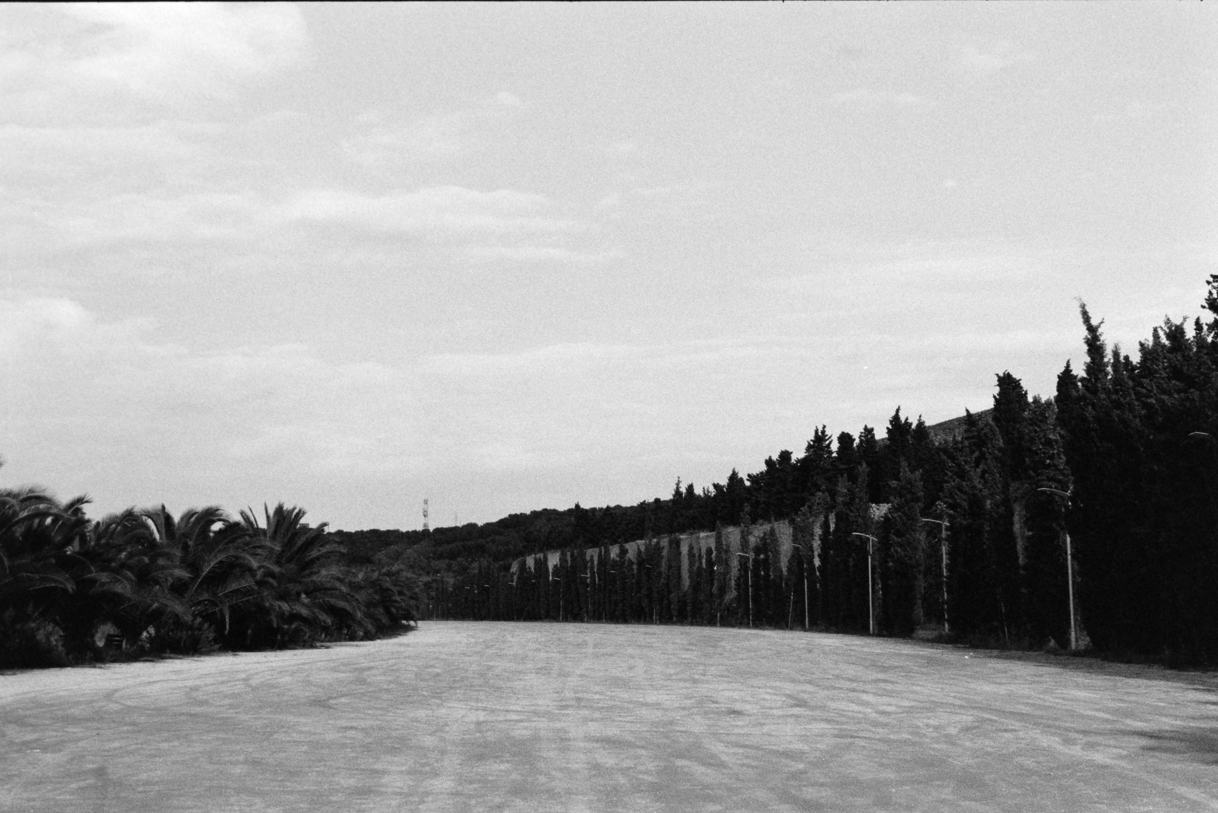 AHP F1995 10 001 sc240815 img35 NLP